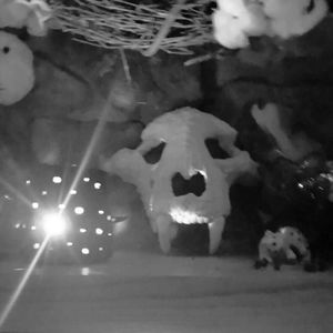 Meet your Posher, Hilary